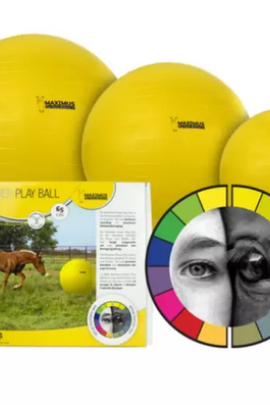Ridershouse: Maximus Power Play Ball 100cm - kleur goed zichtbaar voor paard