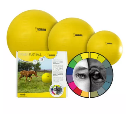 Ridershouse: Maximus Power Play Ball 100cm - kleur goed zichtbaar voor paard
