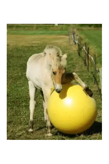 Ridershouse: Maximus Power Play Ball 100cm - kleur goed zichtbaar voor paard