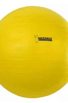 Ridershouse: Maximus Power Play Ball 100cm - kleur goed zichtbaar voor paard