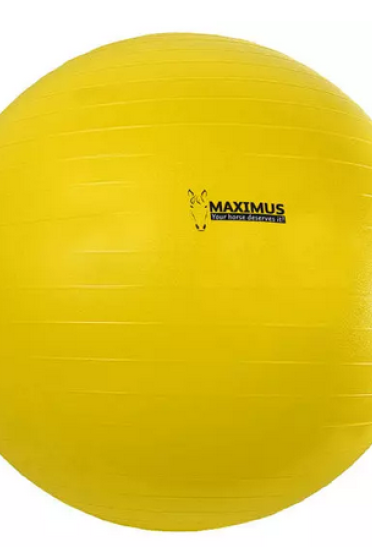 Ridershouse: Maximus Power Play Ball 100cm - kleur goed zichtbaar voor paard