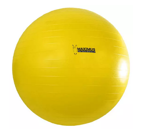 Ridershouse: Maximus Power Play Ball 100cm - kleur goed zichtbaar voor paard