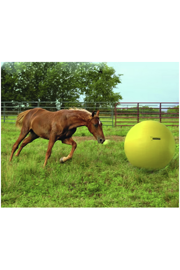 Ridershouse: Maximus Power Play Ball 100cm - kleur goed zichtbaar voor paard