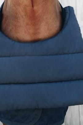Kentucky Horsewear Horse Bib Borstbeschermer Zomer Kentucky Horsewear Horse Bib Borstbeschermer Zomer