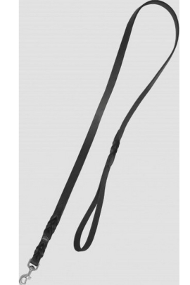 Passier Leather Walking Leash Lead Rope