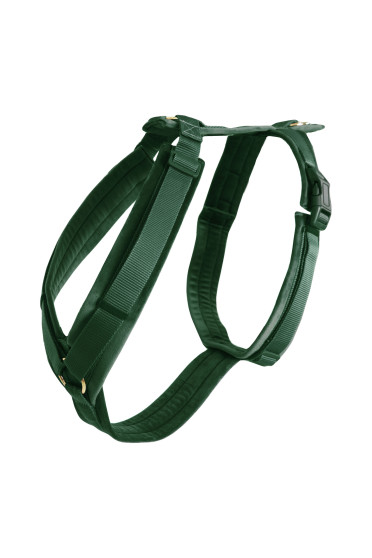 Kentucky Dogwear Dog Harness Active Velvet Green, perfect for your dog Kentucky Dogwear Dog Harness Active Velvet Green, perfect for your dog