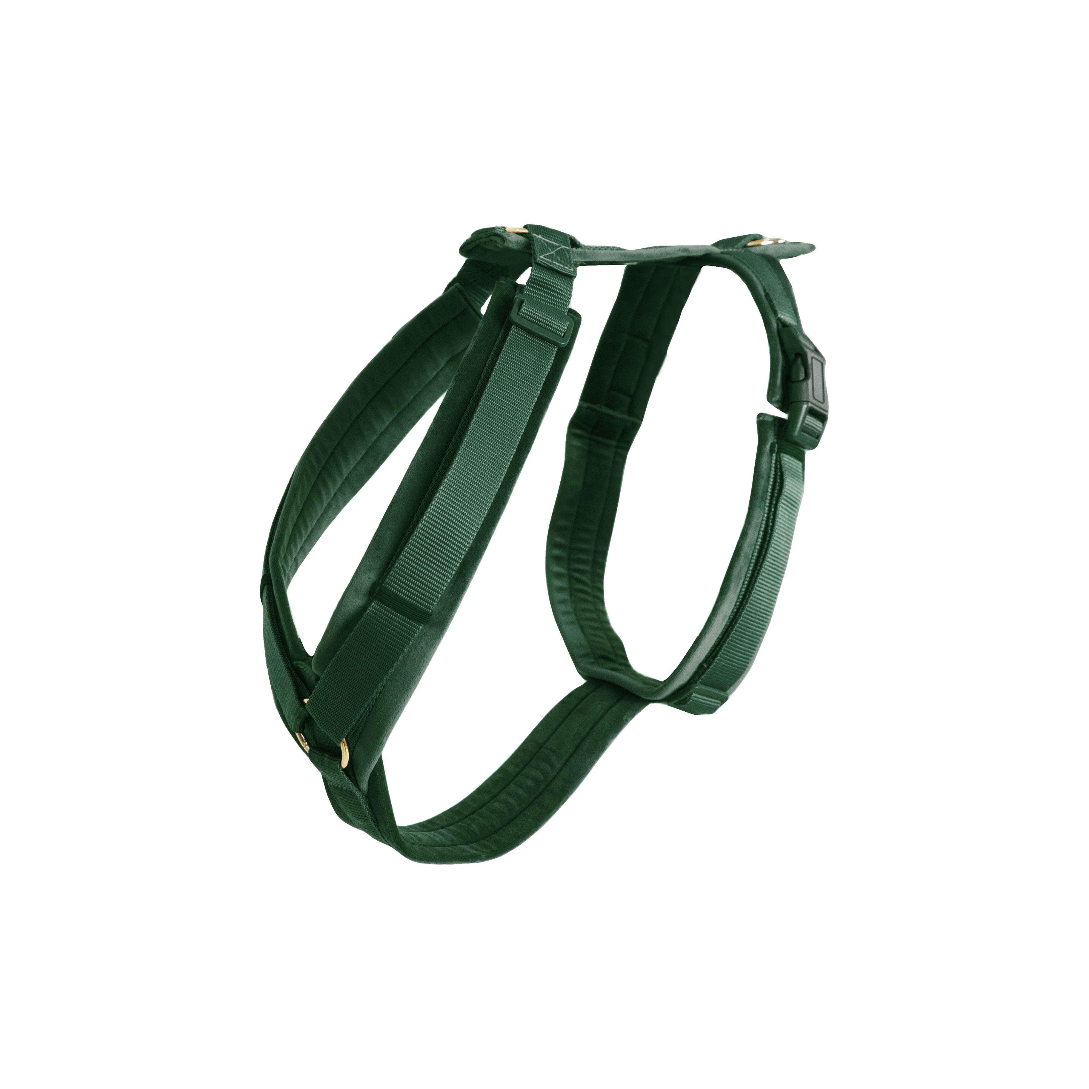 Kentucky Dogwear Dog Harness Active Velvet Green, perfect for your dog Kentucky Dogwear Dog Harness Active Velvet Green, perfect for your dog