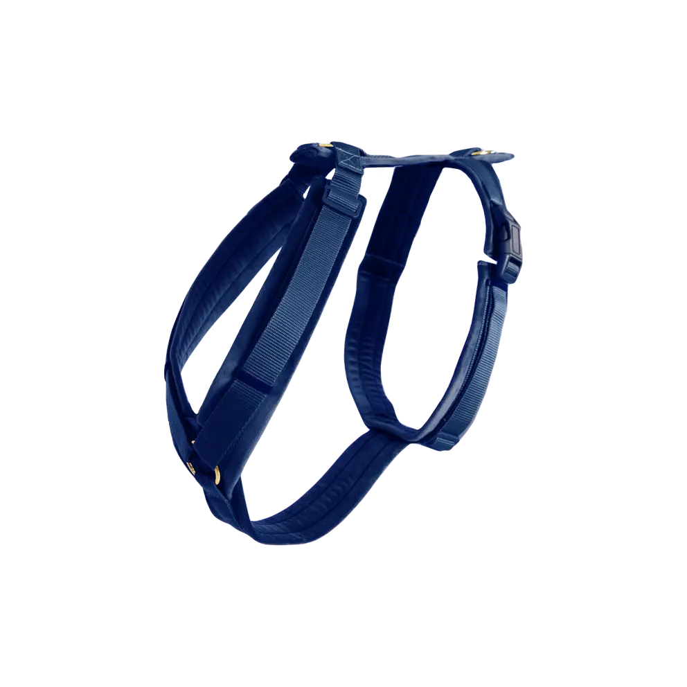 Kentucky Dogwear Dog Harness Active Velvet Green, perfect for your dog Kentucky Dogwear Dog Harness Active Velvet Green, perfect for your dog