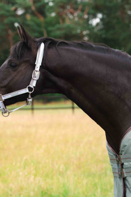 Eskadron Zomer Turnout Deken Gamma 840D, 50 Grams - Classic Sports - Ridershouse Eskadron Zomer Turnout Deken Gamma 840D, 50 Grams - Classic Sports - Ridershouse