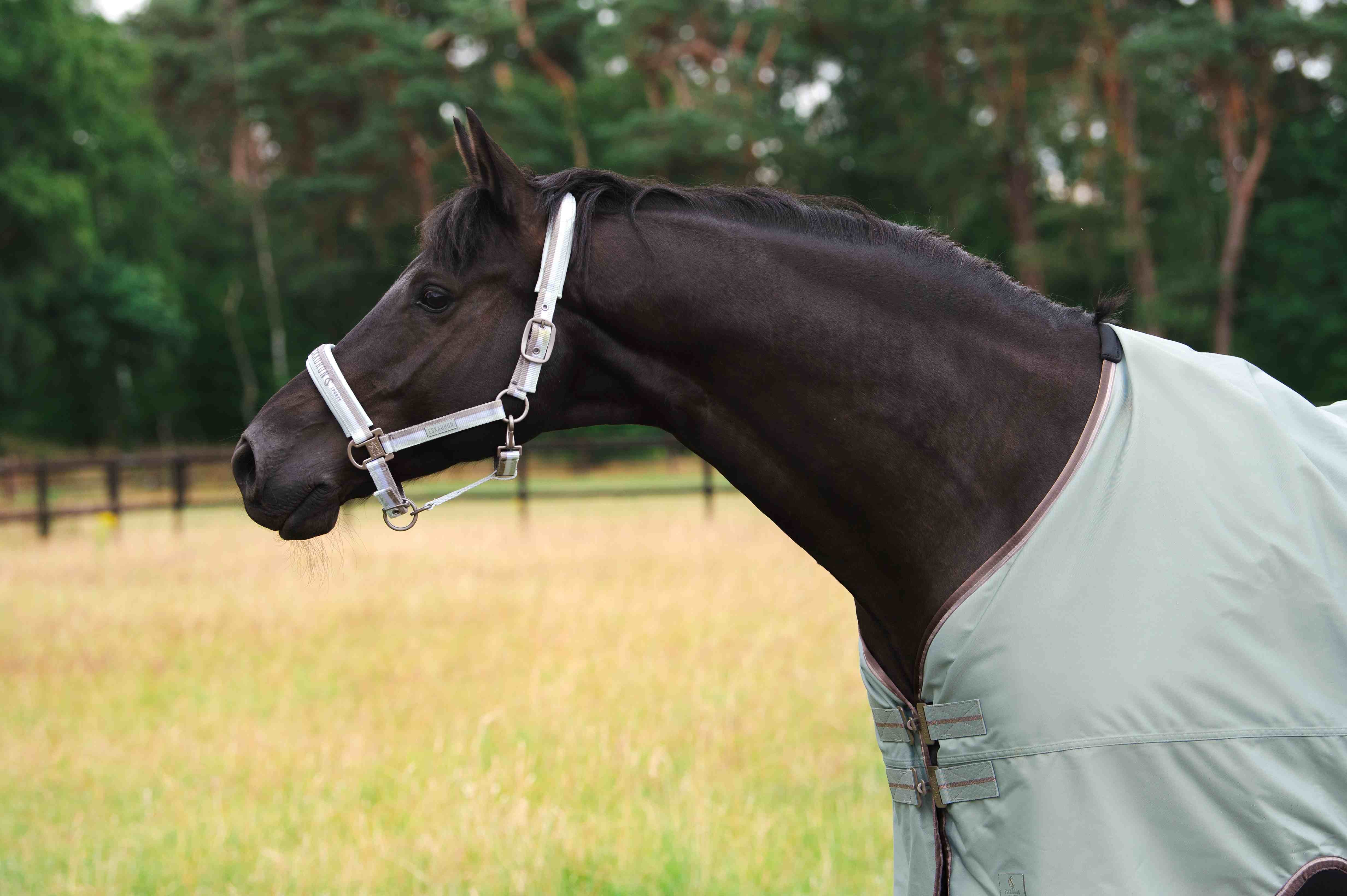 Eskadron Zomer Turnout Deken Gamma 840D, 50 Grams - Classic Sports - Ridershouse Eskadron Zomer Turnout Deken Gamma 840D, 50 Grams - Classic Sports - Ridershouse