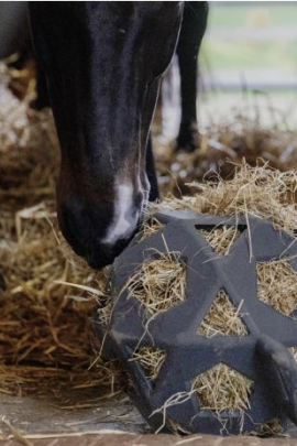 Kentucky Horsewear Relax Paard Hooi & Speelbal - Grijs - Ridershouse.com Kentucky Horsewear Relax Paard Hooi & Speelbal - Grijs - Ridershouse.com
