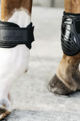 Kentucky Horsewear Fetlock Boots Young Horses - Black - Ridershouse.com Kentucky Horsewear Fetlock Boots Young Horses - Black - Ridershouse.com
