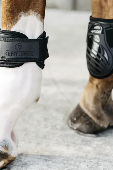 Kentucky Horsewear Fetlock Boots Young Horses - Black - Ridershouse.com Kentucky Horsewear Fetlock Boots Young Horses - Black - Ridershouse.com