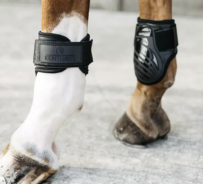 Kentucky Horsewear Fetlock Boots Young Horses - Black - Ridershouse.com Kentucky Horsewear Fetlock Boots Young Horses - Black - Ridershouse.com