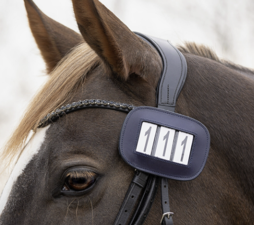 QHP Number Holder Modeste Square - Easy to attach to bridle or saddle pad QHP Number Holder Modeste Square - Easy to attach to bridle or saddle pad