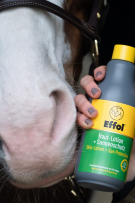 Effol Skin lotion and Sun Protect 500ml, Special for your sensitive skin. Effol Skin lotion and Sun Protect 500ml, Special for your sensitive skin.