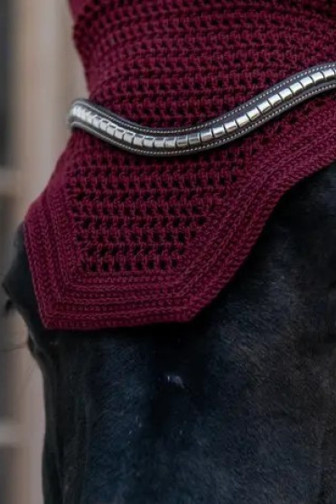 Prachtig oornetje Wellington van het merk Kentucky Horsewear. Prachtig oornetje Wellington van het merk Kentucky Horsewear.