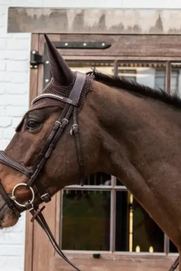 Prachtig oornetje Wellington van het merk Kentucky Horsewear. Prachtig oornetje Wellington van het merk Kentucky Horsewear.
