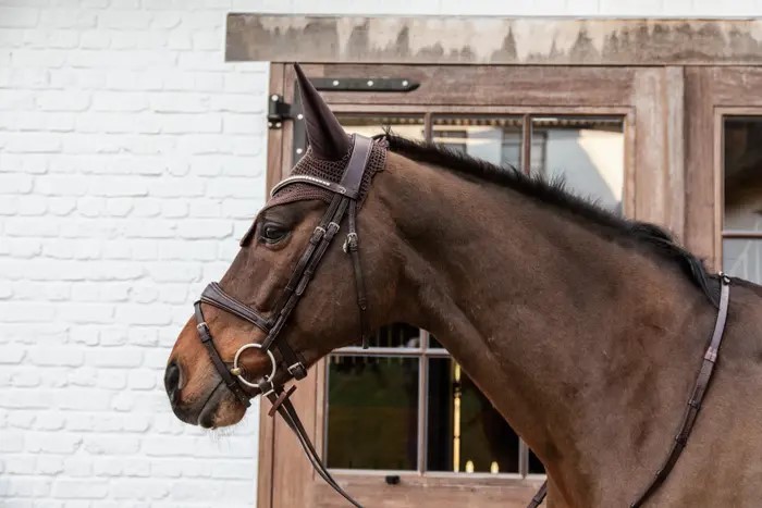 Prachtig oornetje Wellington van het merk Kentucky Horsewear. Prachtig oornetje Wellington van het merk Kentucky Horsewear.