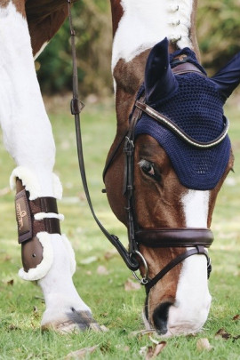 Prachtig oornetje Wellington van het merk Kentucky Horsewear.