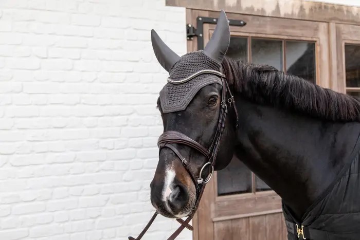Prachtig oornetje Wellington van het merk Kentucky Horsewear. Prachtig oornetje Wellington van het merk Kentucky Horsewear.