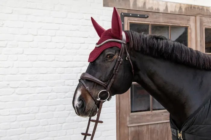 Prachtig oornetje Wellington van het merk Kentucky Horsewear. Prachtig oornetje Wellington van het merk Kentucky Horsewear.
