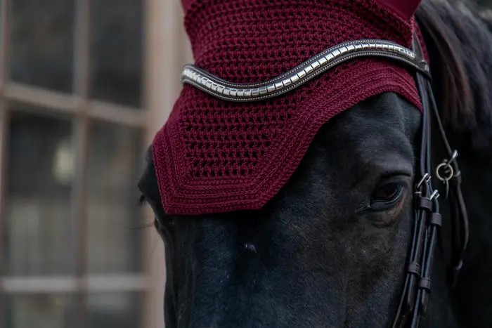 Prachtig oornetje Wellington van het merk Kentucky Horsewear. Prachtig oornetje Wellington van het merk Kentucky Horsewear.