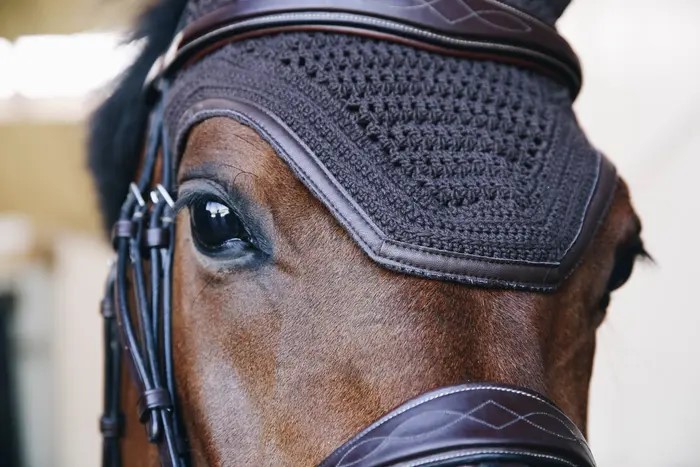 Kentucky Horsewear mutsje afgewerkt met een leren rand. Kentucky Horsewear mutsje afgewerkt met een leren rand.