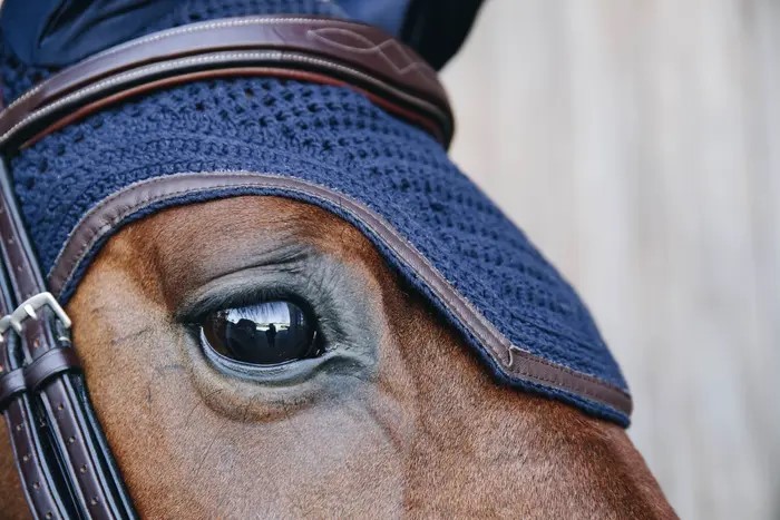 Kentucky Horsewear mutsje afgewerkt met een leren rand. Kentucky Horsewear mutsje afgewerkt met een leren rand.