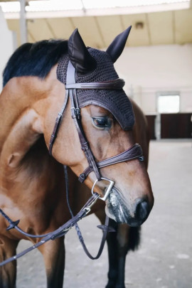 Kentucky Horsewear mutsje afgewerkt met een leren rand.