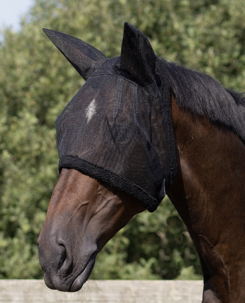 QHP Fly Mask With Ears And Velcro Closure - in the color Black - Ridershouse
