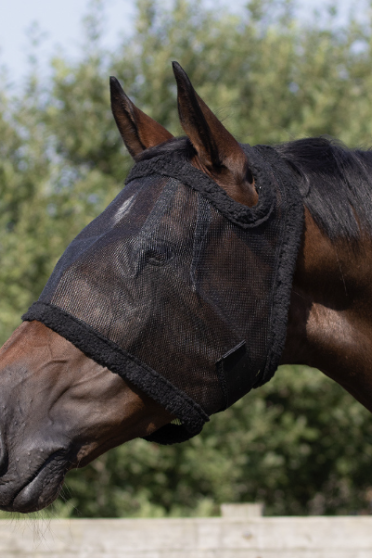 QHP Fly Mask Without Ears And with Velcro Closure - in the color Black - Ridershouse QHP Fly Mask Without Ears And with Velcro Closure - in the color Black - Ridershouse