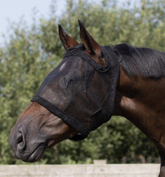 QHP Fly Mask Without Ears And with Velcro Closure - in the color Black - Ridershouse QHP Fly Mask Without Ears And with Velcro Closure - in the color Black - Ridershouse