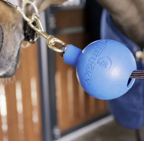 Kentucky beschermingsbal voor het veilig vastzetten van je paard - Ridershouse Kentucky beschermingsbal voor het veilig vastzetten van je paard - Ridershouse