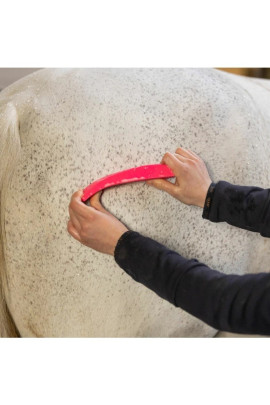 Ridershouse: Excellent Horse Grooming Brush Zwart Large de alles in één borstel Ridershouse: Excellent Horse Grooming Brush Zwart Large de alles in één borstel