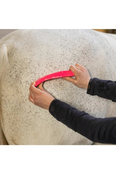Ridershouse: Excellent Horse Grooming Brush Zwart Large de alles in één borstel Ridershouse: Excellent Horse Grooming Brush Zwart Large de alles in één borstel