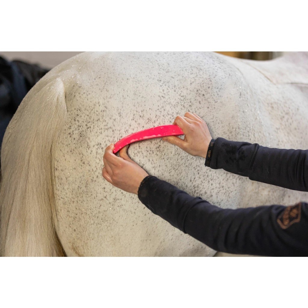 Ridershouse: Excellent Horse Grooming Brush Zwart Large de alles in één borstel Ridershouse: Excellent Horse Grooming Brush Zwart Large de alles in één borstel