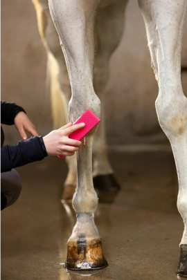Ridershouse: Excellent Horse Grooming Brush Zwart Large de alles in één borstel Ridershouse: Excellent Horse Grooming Brush Zwart Large de alles in één borstel