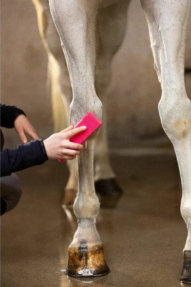 Ridershouse: Excellent Horse Grooming Brush Zwart Large de alles in één borstel Ridershouse: Excellent Horse Grooming Brush Zwart Large de alles in één borstel