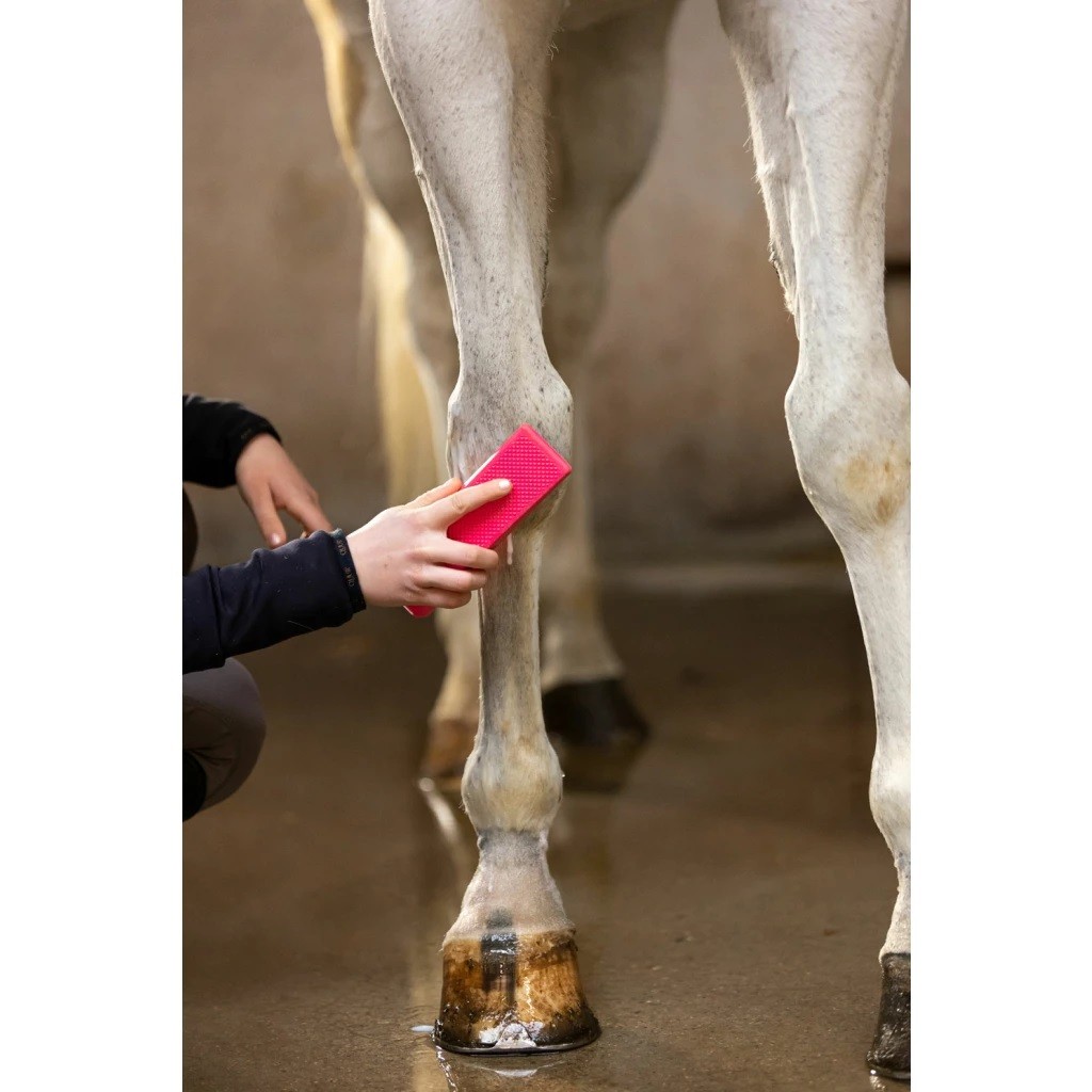 Ridershouse: Excellent Horse Grooming Brush Zwart Large de alles in één borstel Ridershouse: Excellent Horse Grooming Brush Zwart Large de alles in één borstel