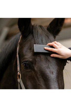 Ridershouse: Excellent Horse Grooming Brush Zwart Large de alles in één borstel Ridershouse: Excellent Horse Grooming Brush Zwart Large de alles in één borstel