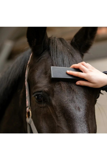 Ridershouse: Excellent Horse Grooming Brush Zwart Large de alles in één borstel Ridershouse: Excellent Horse Grooming Brush Zwart Large de alles in één borstel