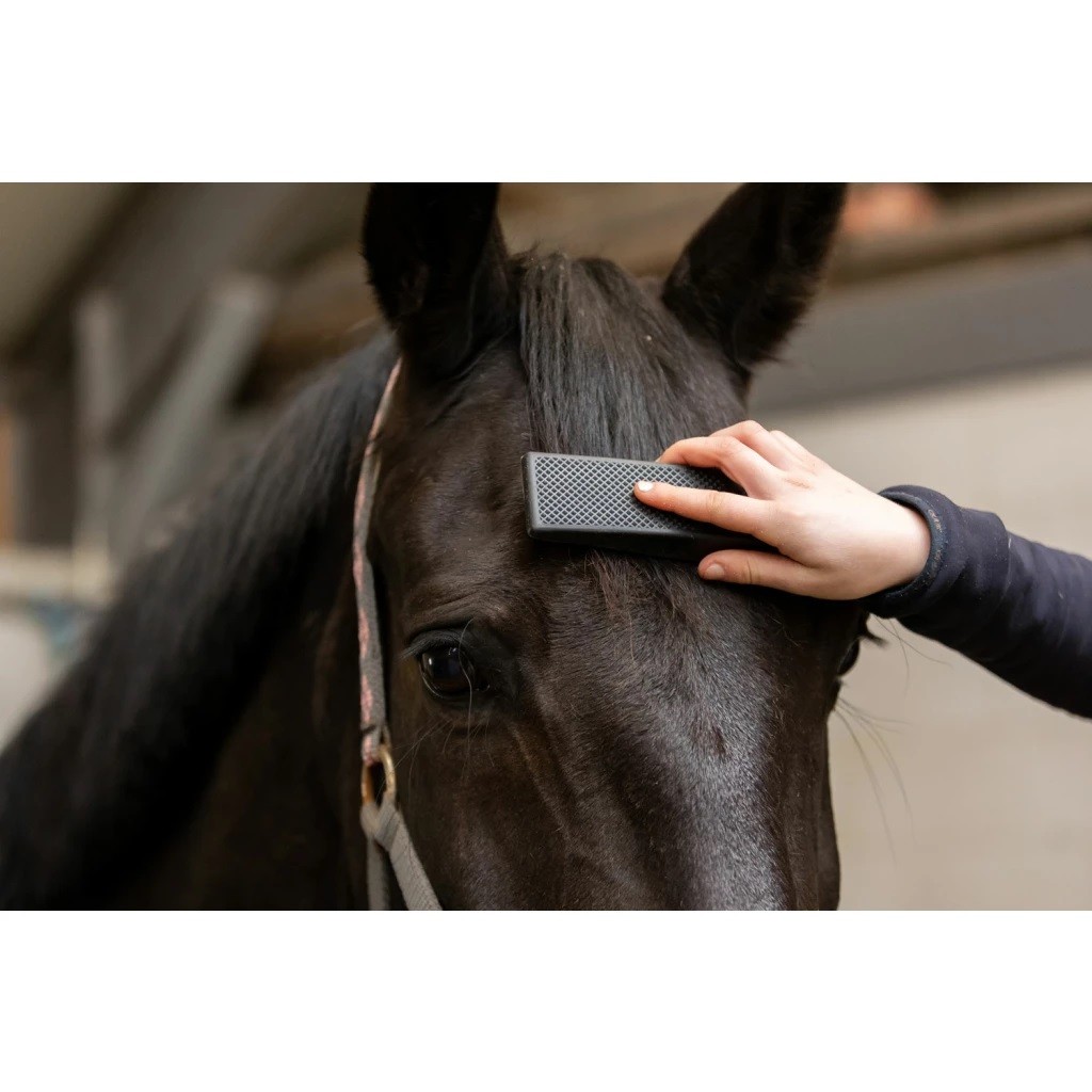 Ridershouse: Excellent Horse Grooming Brush Zwart Large de alles in één borstel Ridershouse: Excellent Horse Grooming Brush Zwart Large de alles in één borstel