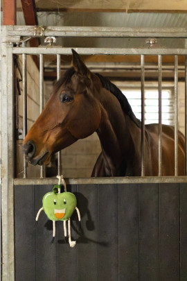 Excellent Horse Foodie Friends paardenspeeltje Apple - uitdagend voor het paard Excellent Horse Foodie Friends paardenspeeltje Apple - uitdagend voor het paard