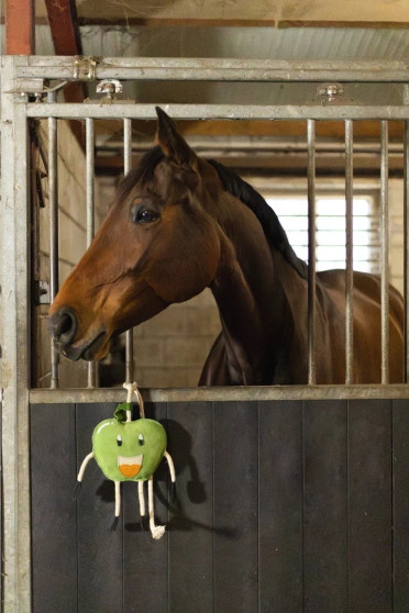 Excellent Horse Foodie Friends paardenspeeltje Apple - uitdagend voor het paard Excellent Horse Foodie Friends paardenspeeltje Apple - uitdagend voor het paard
