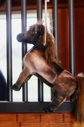 Kentucky Horsewear Relax Horse Toy Tableux