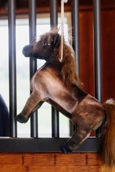 Kentucky Horsewear Relax Horse Toy Tableux Kentucky Horsewear Relax Horse Toy Tableux