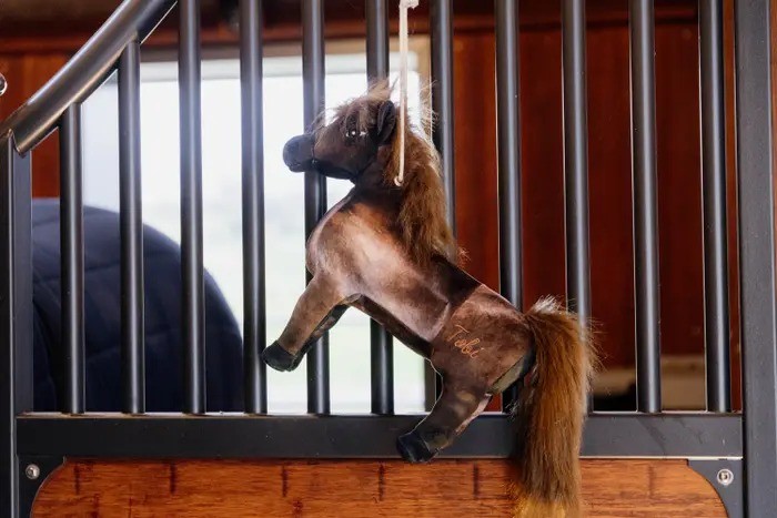Kentucky Horsewear Relax Horse Toy Tableux Kentucky Horsewear Relax Horse Toy Tableux