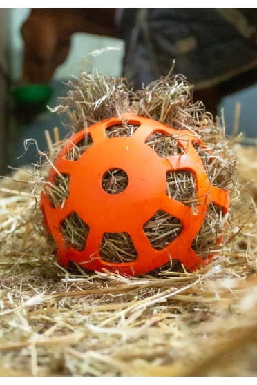 Hay Slow Feeder Fun & Flex Oranje , het is speeltijd in de stal. Hay Slow Feeder Fun & Flex Oranje , het is speeltijd in de stal.