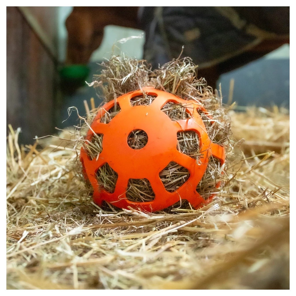 Hay Slow Feeder Fun & Flex Oranje , het is speeltijd in de stal. Hay Slow Feeder Fun & Flex Oranje , het is speeltijd in de stal.